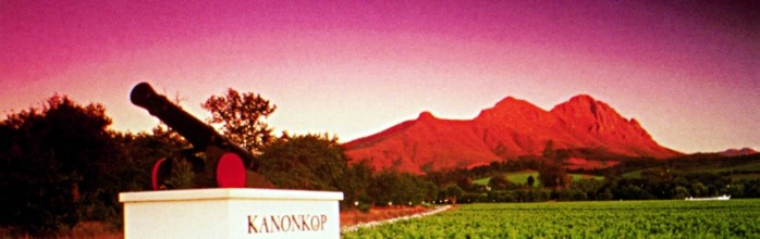 RED SIMON mit neuem Partnerweingut: Südafrikanische Premiumweine von  Kanonkop